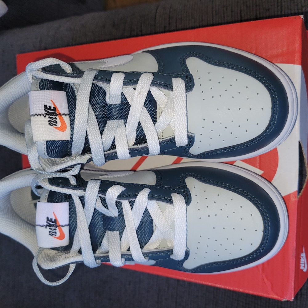Nike Kids Dunk Low